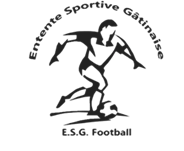 Logo ENTENTE SPORTIVE GATINAISE FOOTBALL
